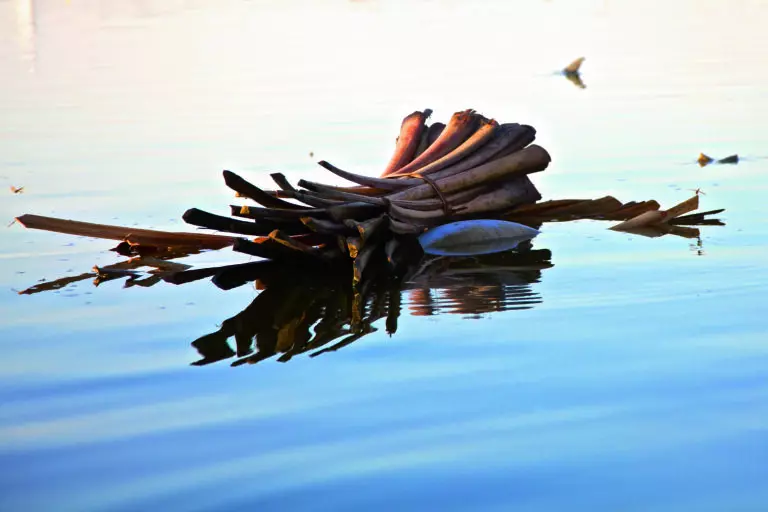 Floating Bunch