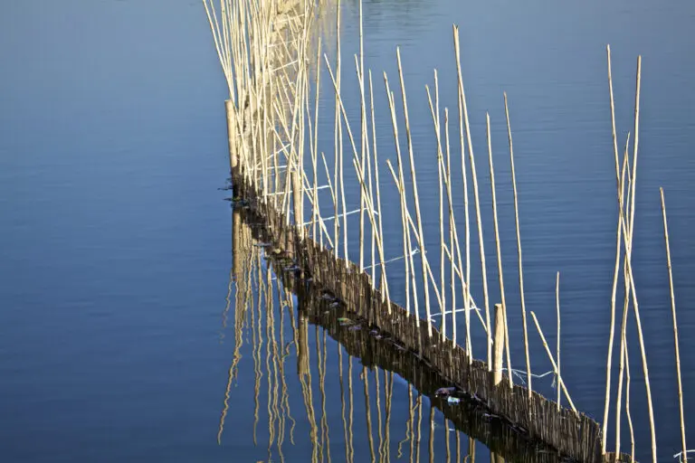Mirror of Water