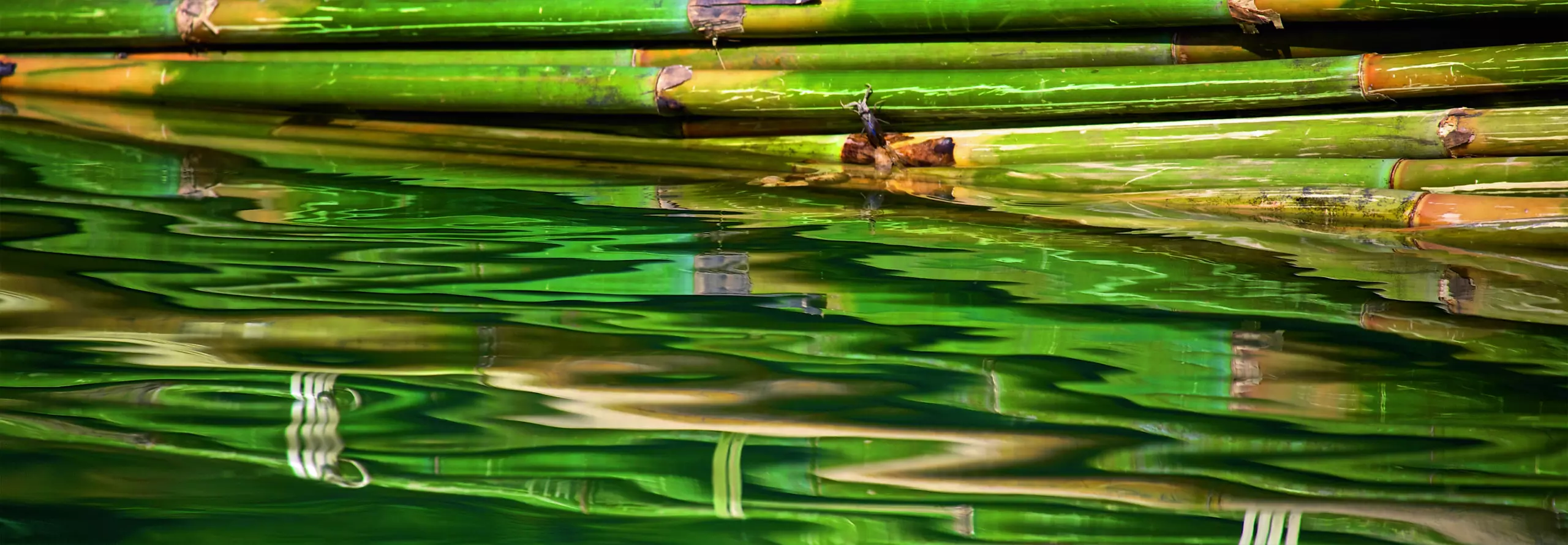 Wandbild (2437) Art of Waves präsentiert: Wasser,Natur,Makro,Bäche und Flüsse,Wasserspiegelungen