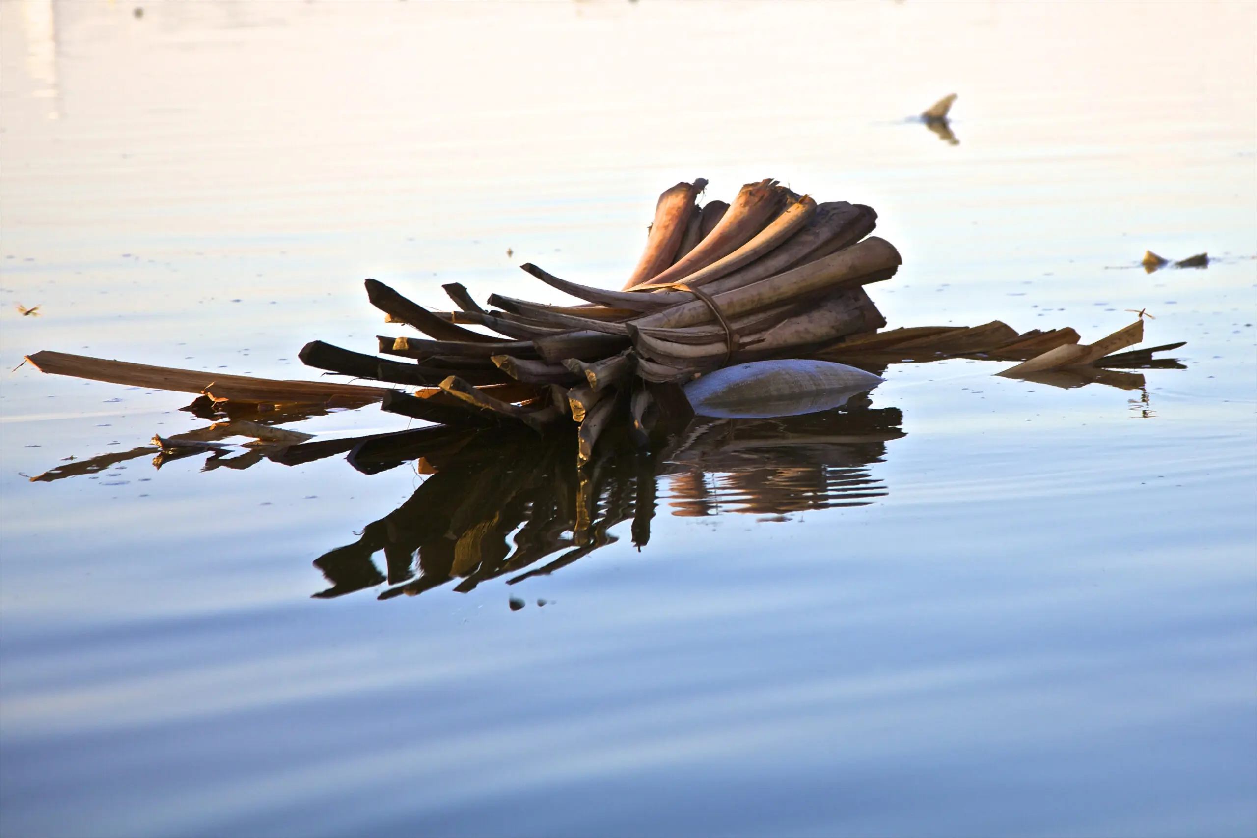 Wandbild (2509) Floating Bunch (2) präsentiert: Wasser,Details und Strukturen,Wasserspiegelungen,Holz