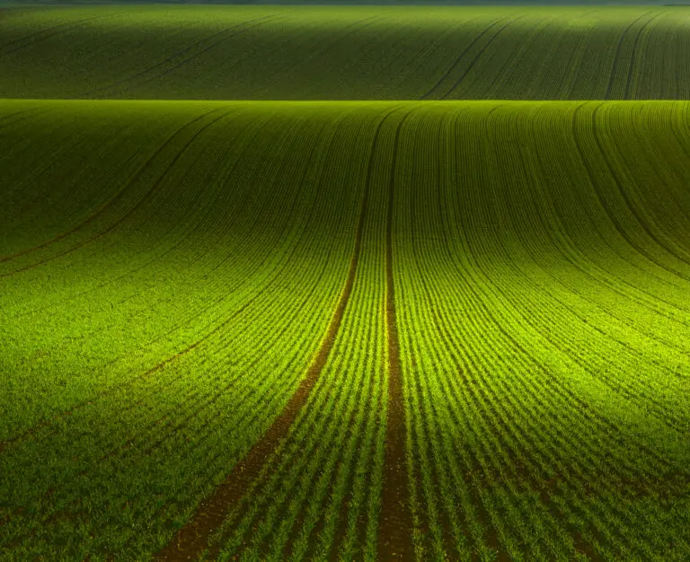  (2737) November Green präsentiert: Landschaften