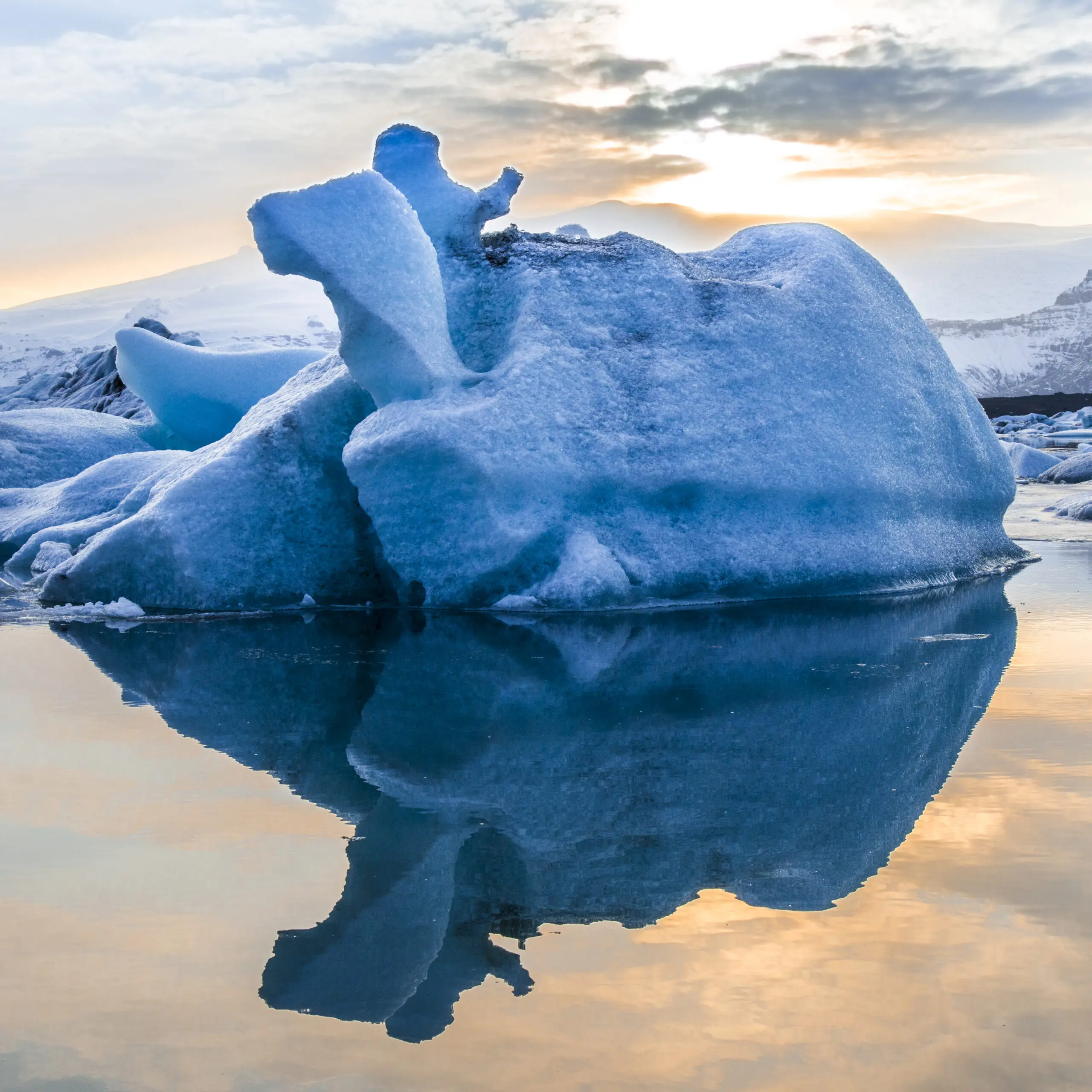Wandbild (2797) Gefrorener Elch präsentiert: Wasser,Natur,Landschaften,Schnee und Eis,Winter,Gewässer