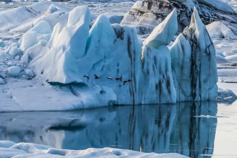 Ice Dome