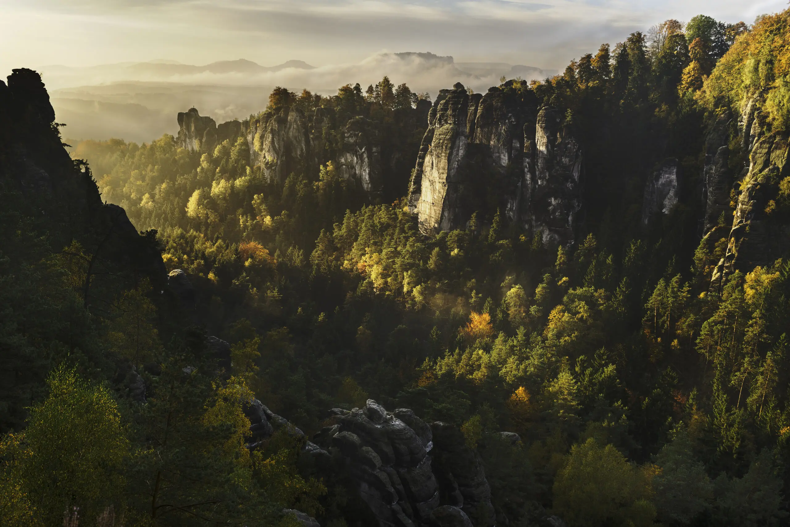 Wandbild (2872) Forest Whispers präsentiert: Landschaften