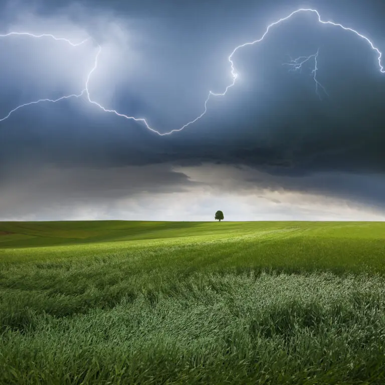  (2874) Someplace in Summer präsentiert: Gräser, Landschaften, Natur, Sommer, Sonstige