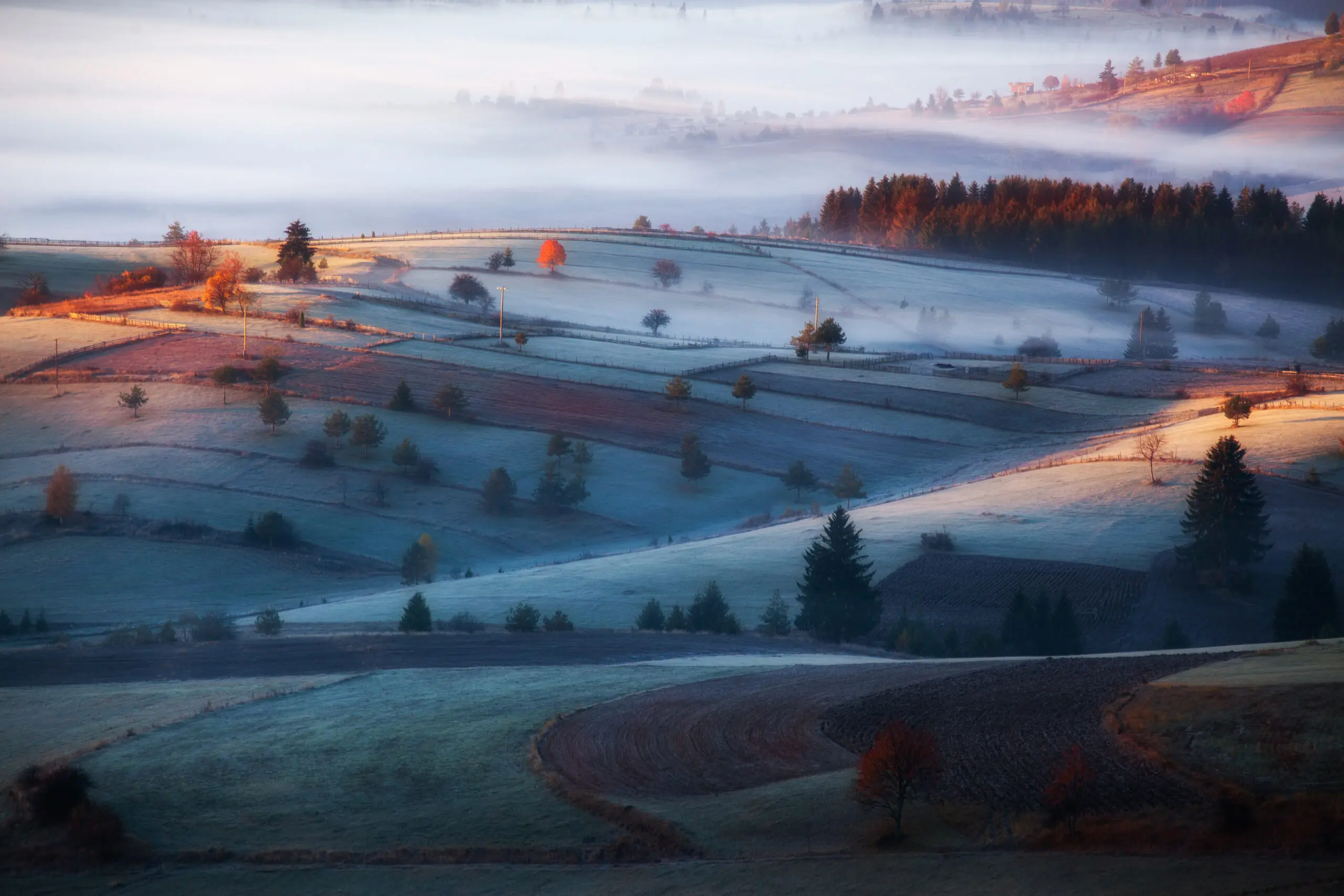 Wandbild (2899) mist präsentiert: Landschaften