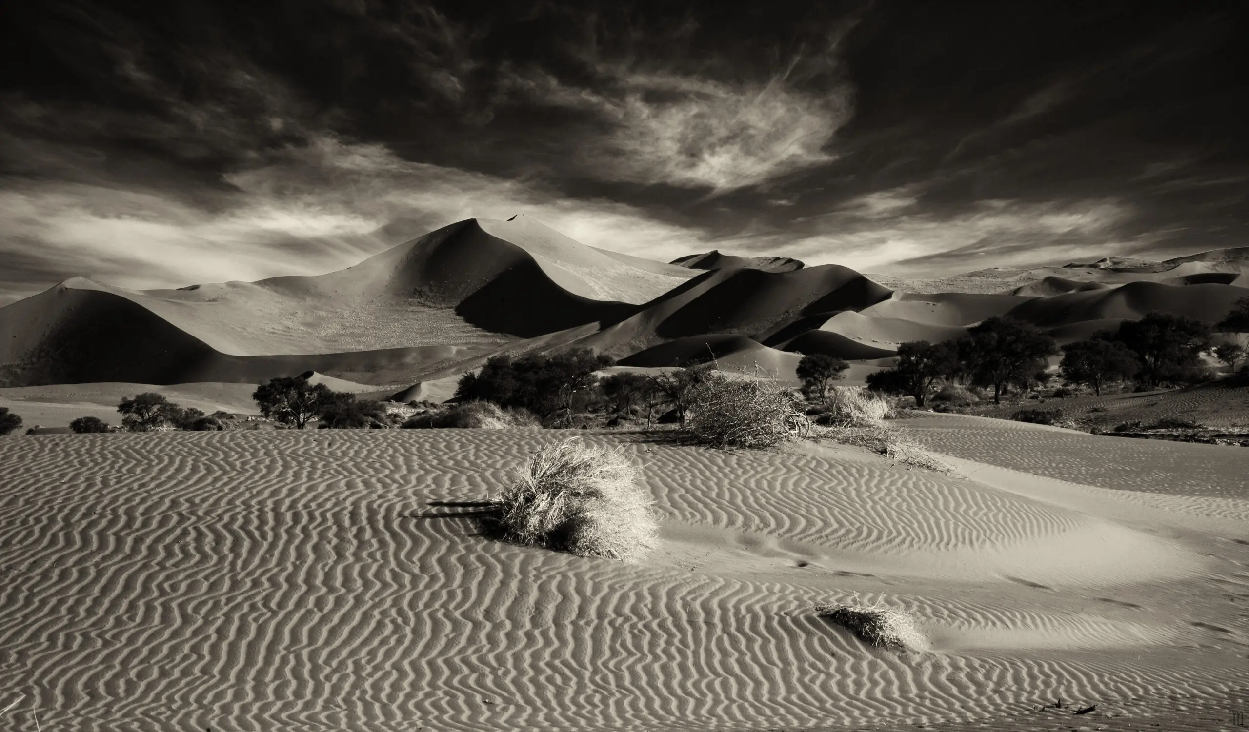 Wandbild (2910) Wind brush präsentiert: Landschaften