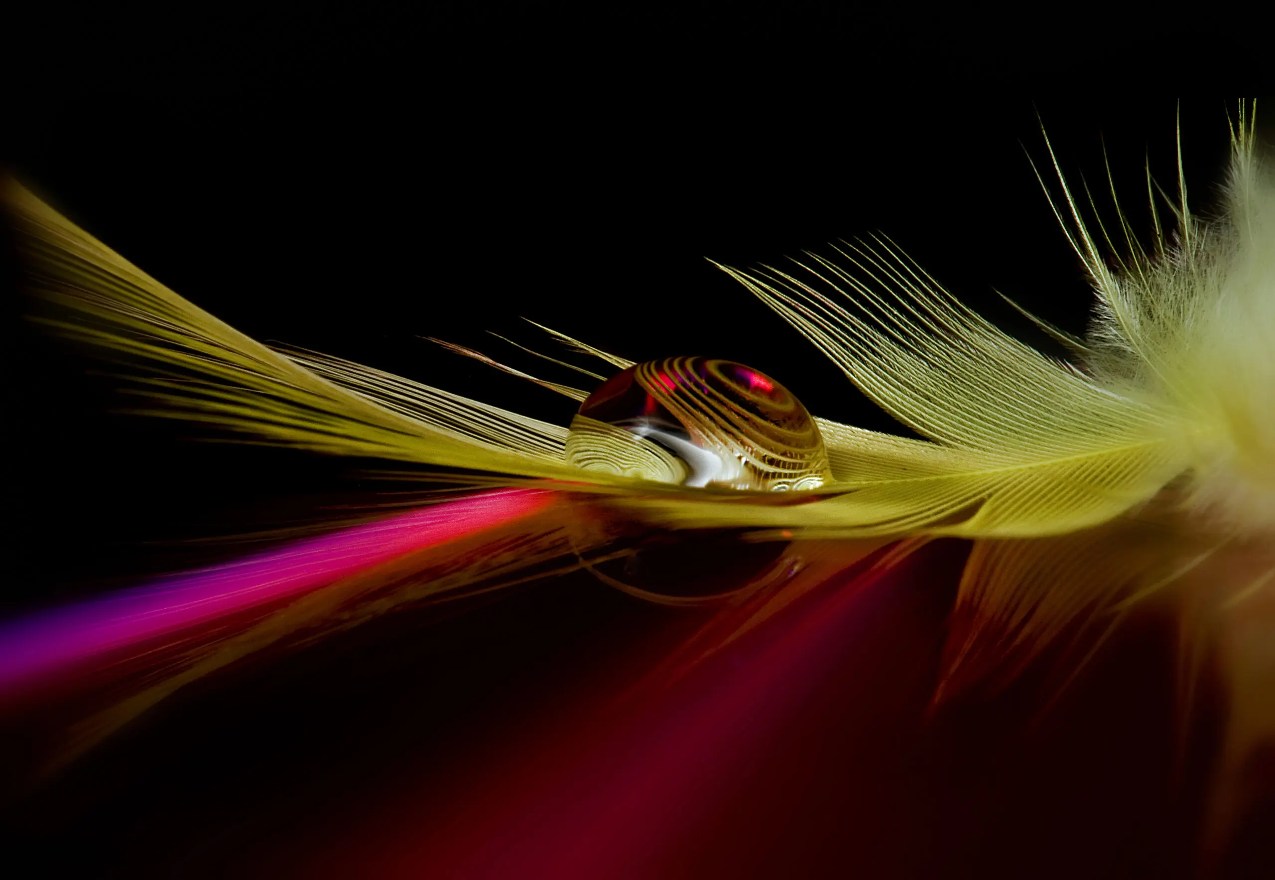 Wandbild (2927) Colors in the drop präsentiert: Wasser,Kreatives,Natur