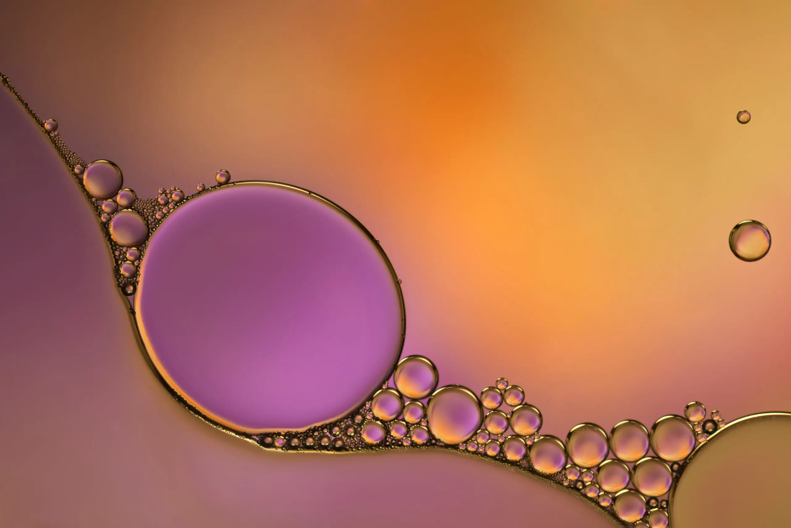 Wandbild (2945) Sunset präsentiert: Wasser,Abstrakt