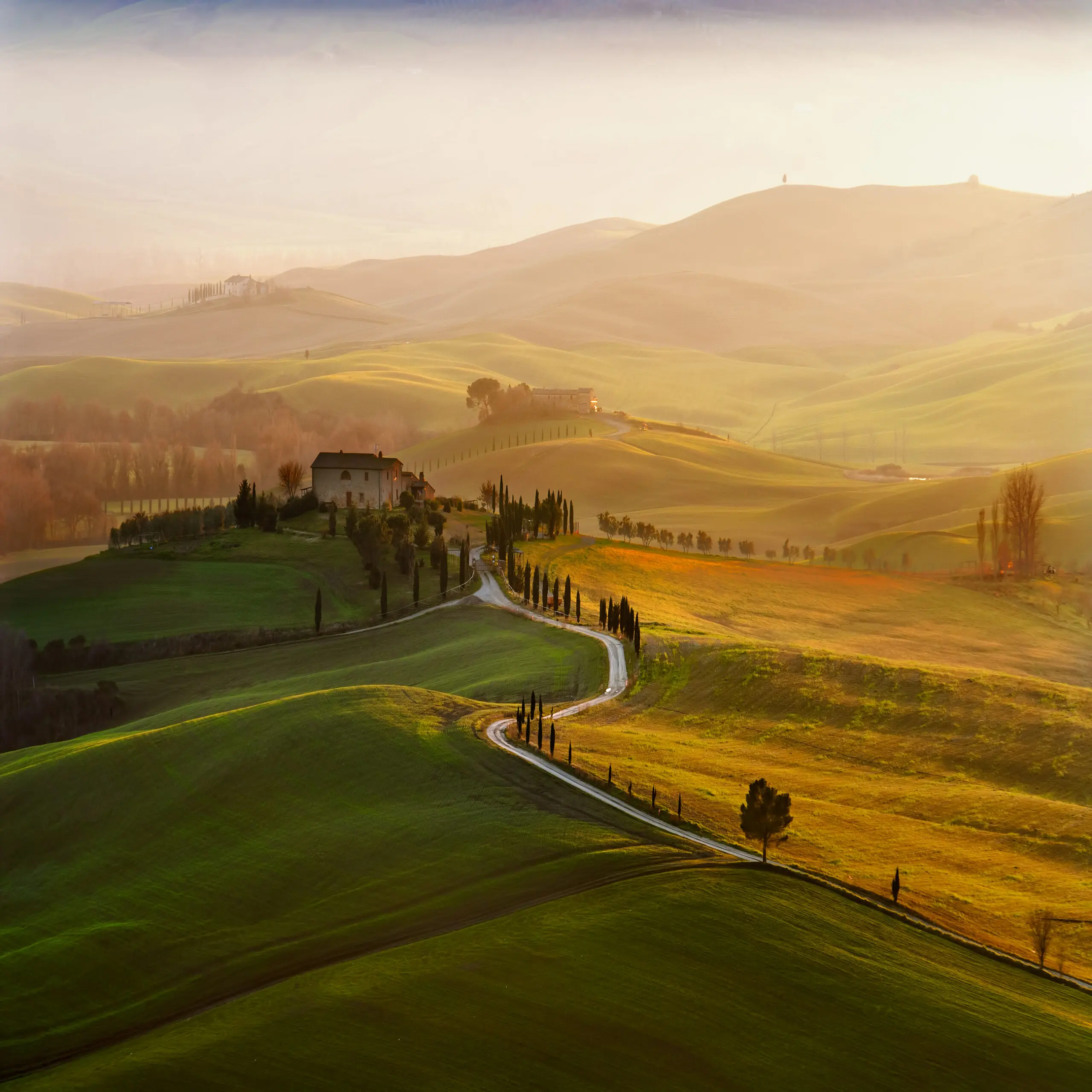 Wandbild (2970) Val d’Orcia präsentiert: Landschaften,Wege,Herbst