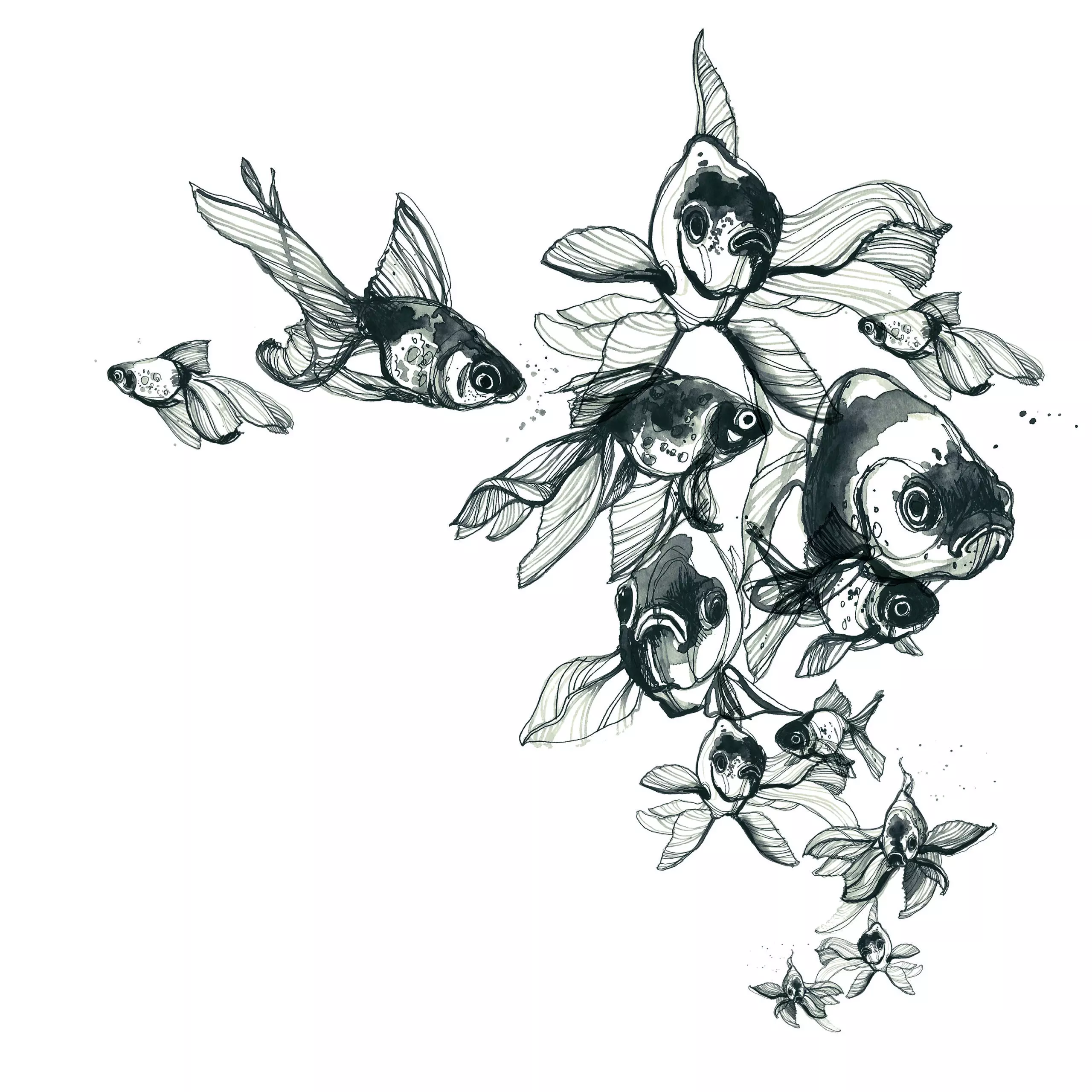 Wandbild (3004) Zauberfisch präsentiert: 