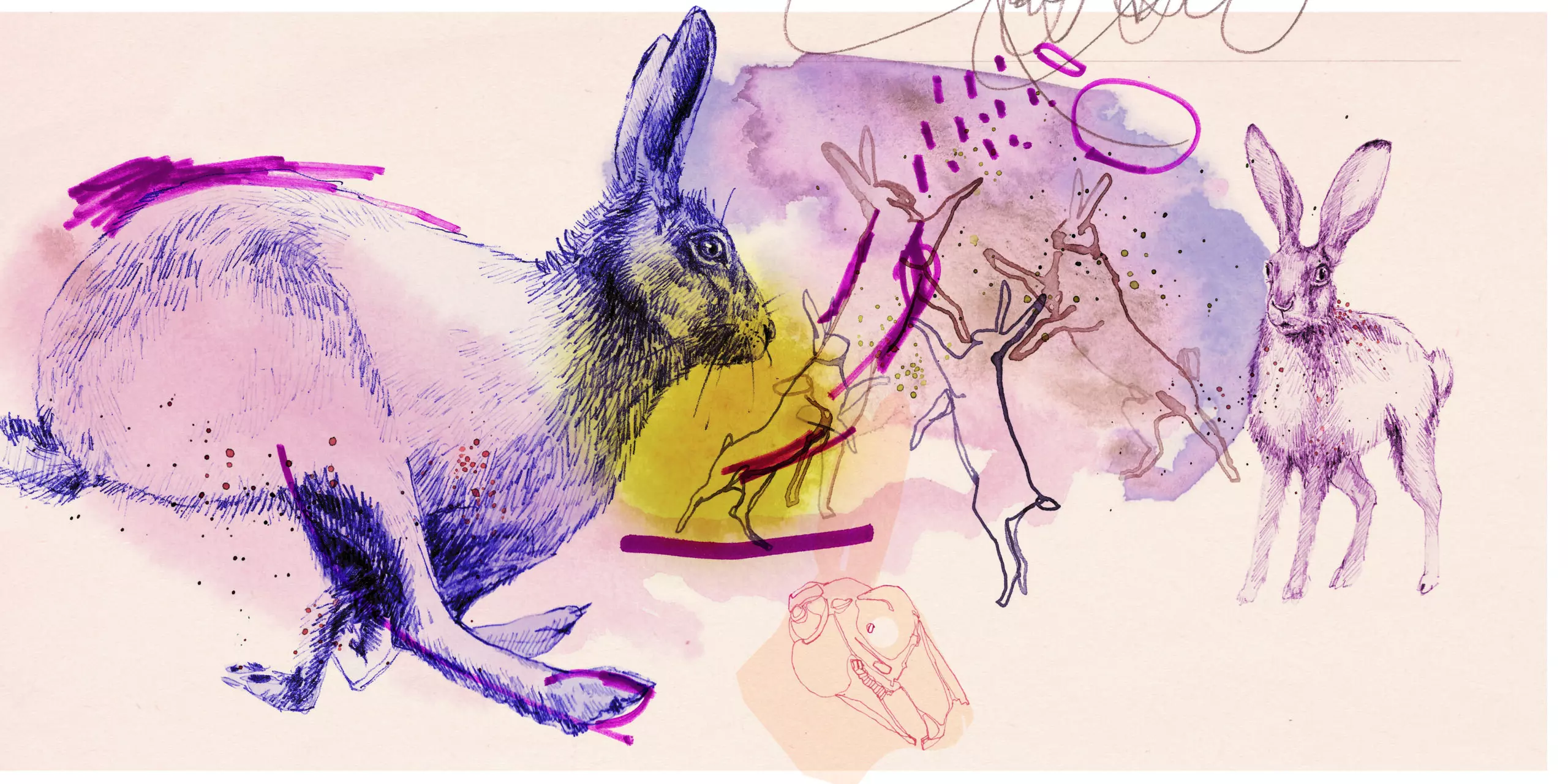 Wandbild (3012) Jack Rabbit. präsentiert: 