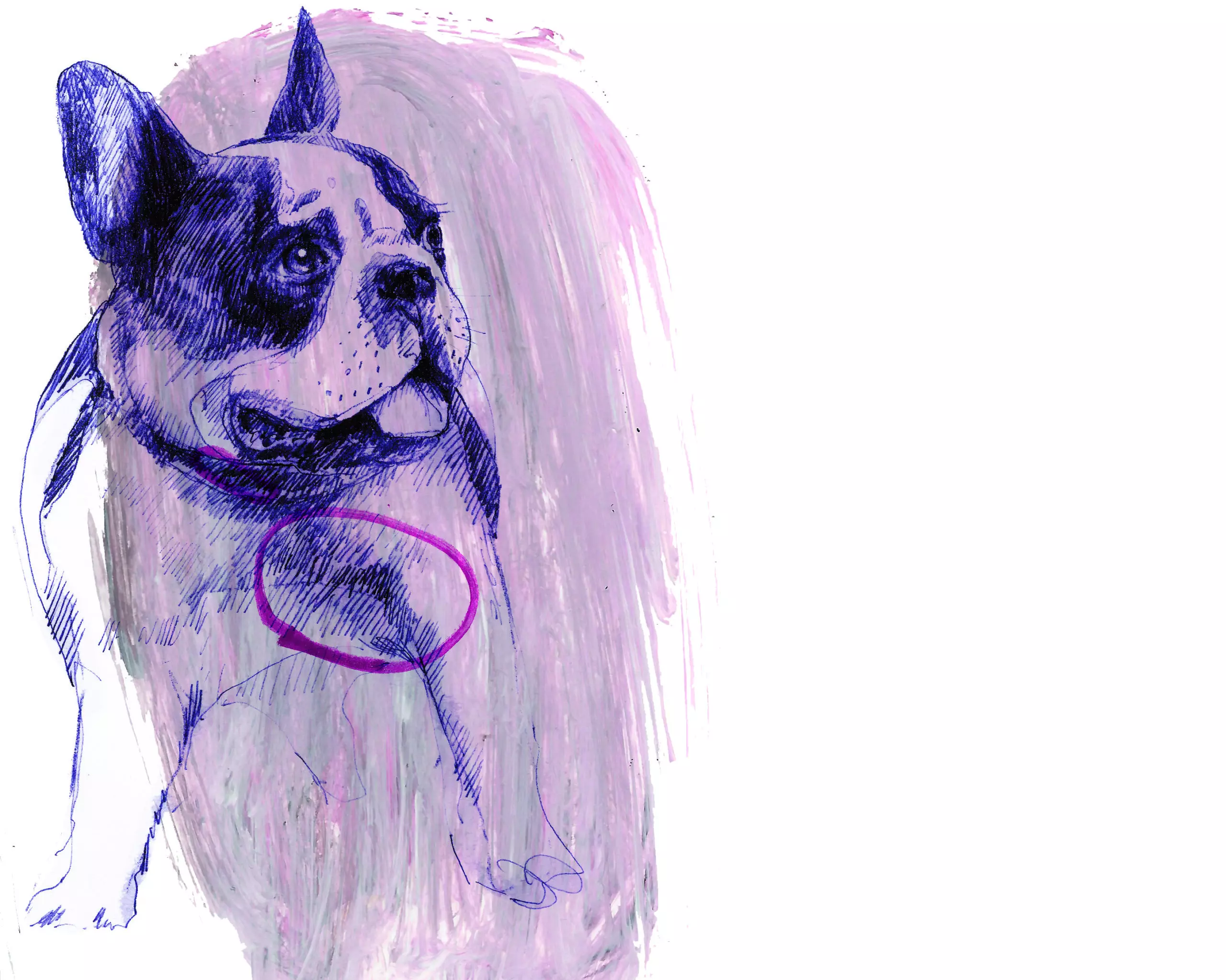 Wandbild (3013) Bully. präsentiert: 