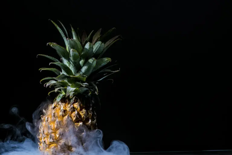 Die Ananas