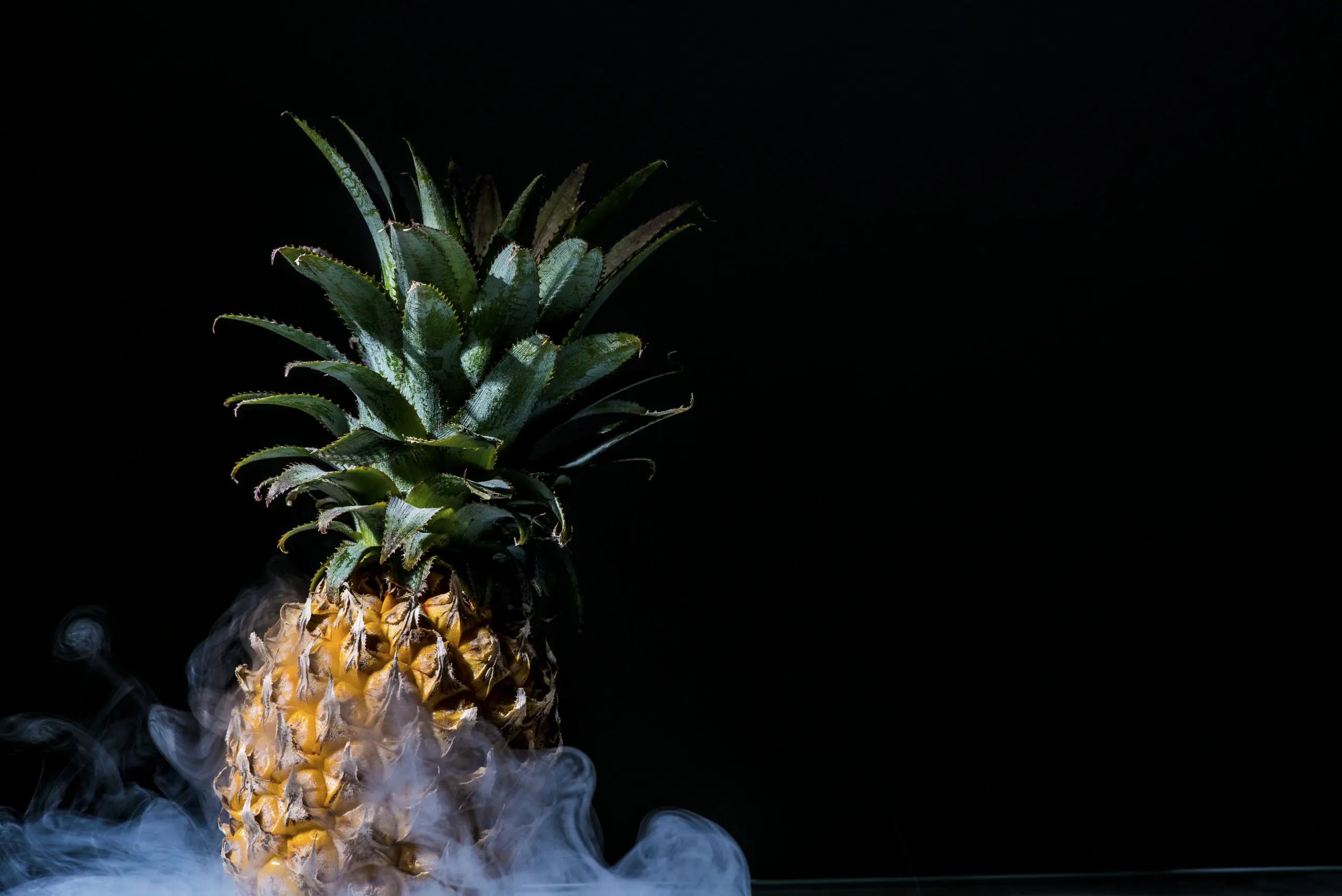 Wandbild (3107) Die Ananas präsentiert: Stillleben,Kreatives,Essen und Getränke,Sonstige Stillleben,Surrealisch,Surrealismus,Sonstiges Kreatives