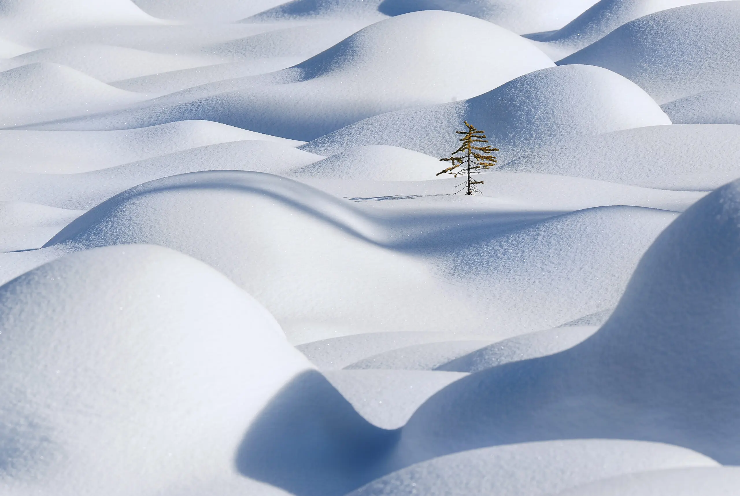 Wandbild (3057) Standing in the waves präsentiert: Landschaften,Schnee und Eis,Winter,Berge