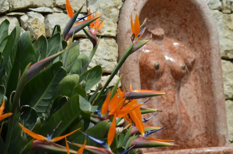 Garten Eden