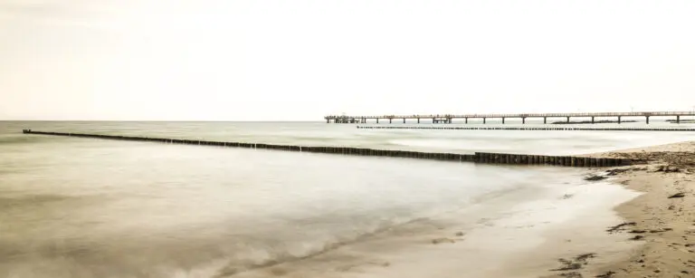White Horizon