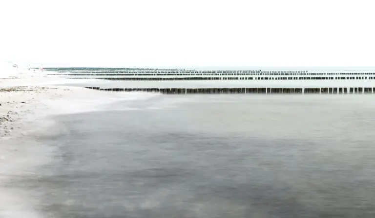 White Horizon