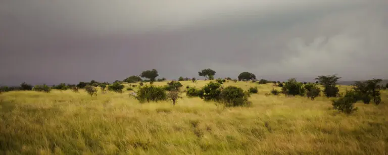 Serengeti Plains