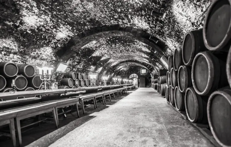 In Vino Veritas 1