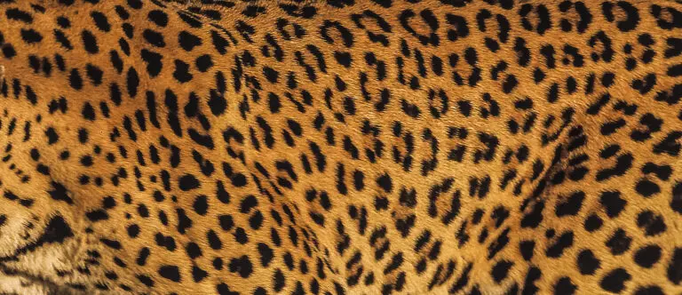 Kuscheldecke