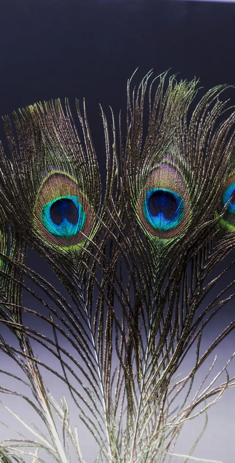 Two Eyes