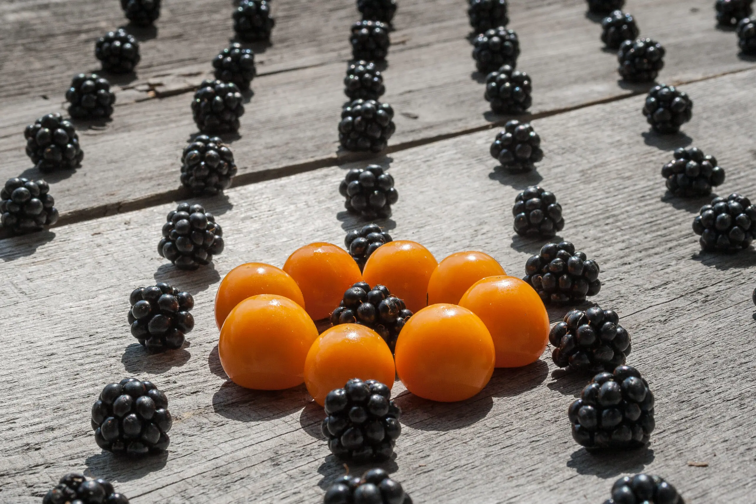 Wandbild (3388) Physalis präsentiert: Stillleben,Essen und Getränke