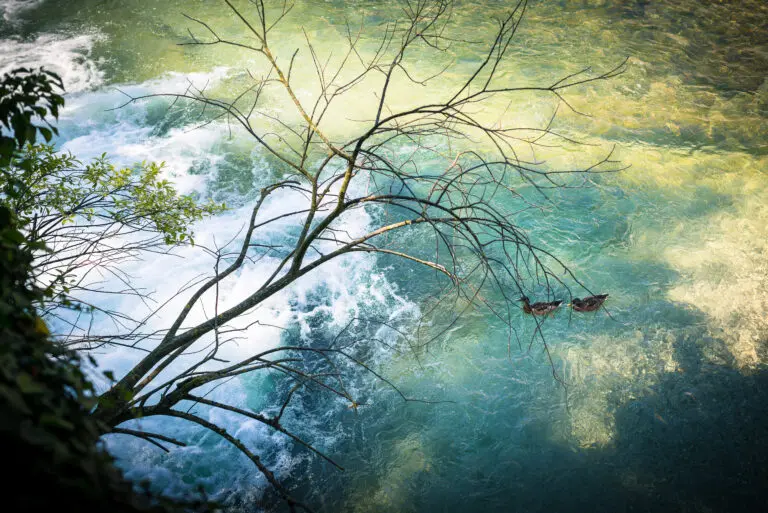Am Wasserfall 1