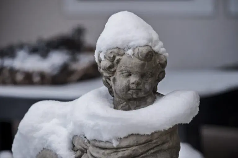 Snowy Angel
