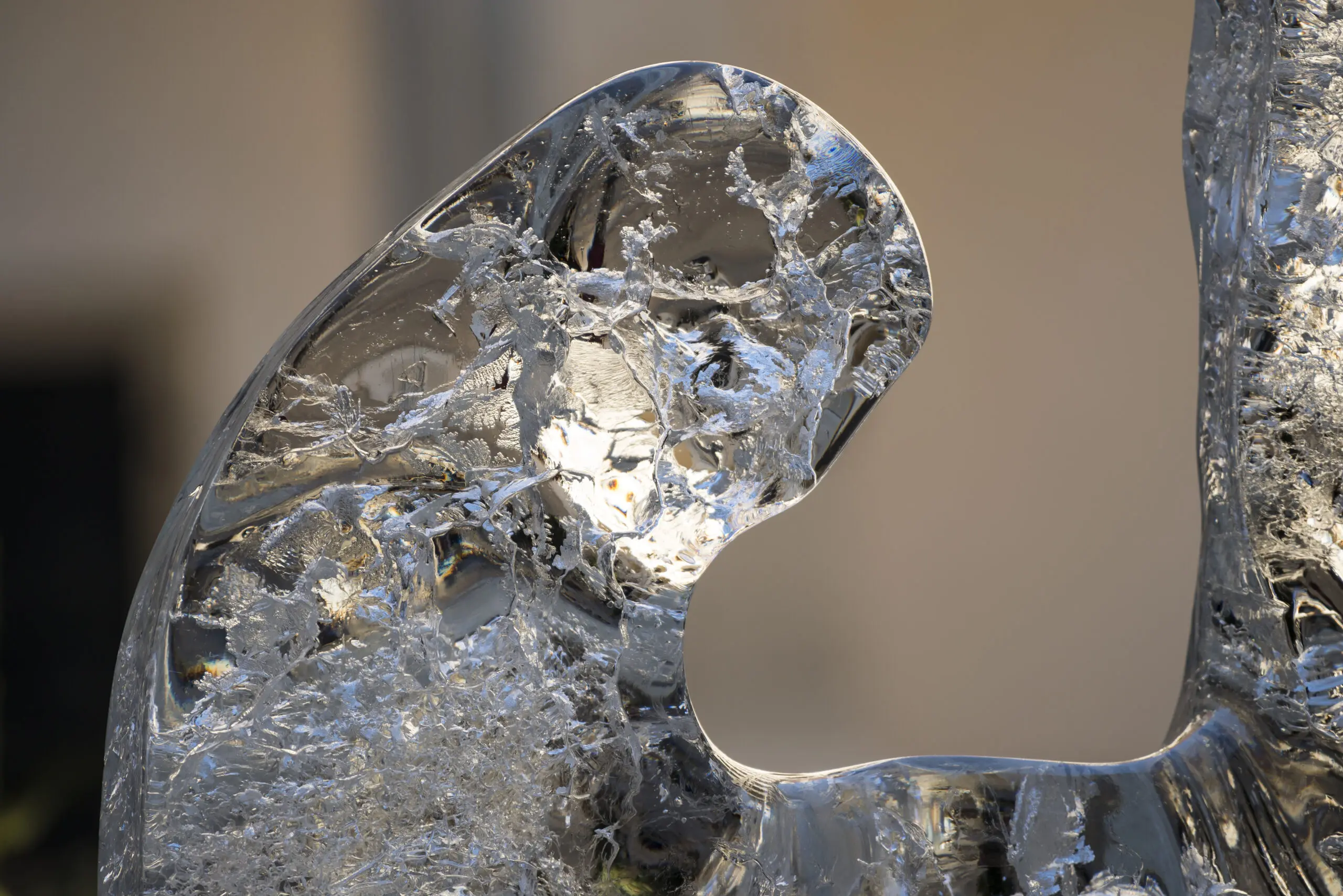 Wandbild (3721) Ice head präsentiert: Kreatives,Details und Strukturen,Zen & Wellness,Abstrakt,Natur,Surrealismus,Sonstige Naturdetails