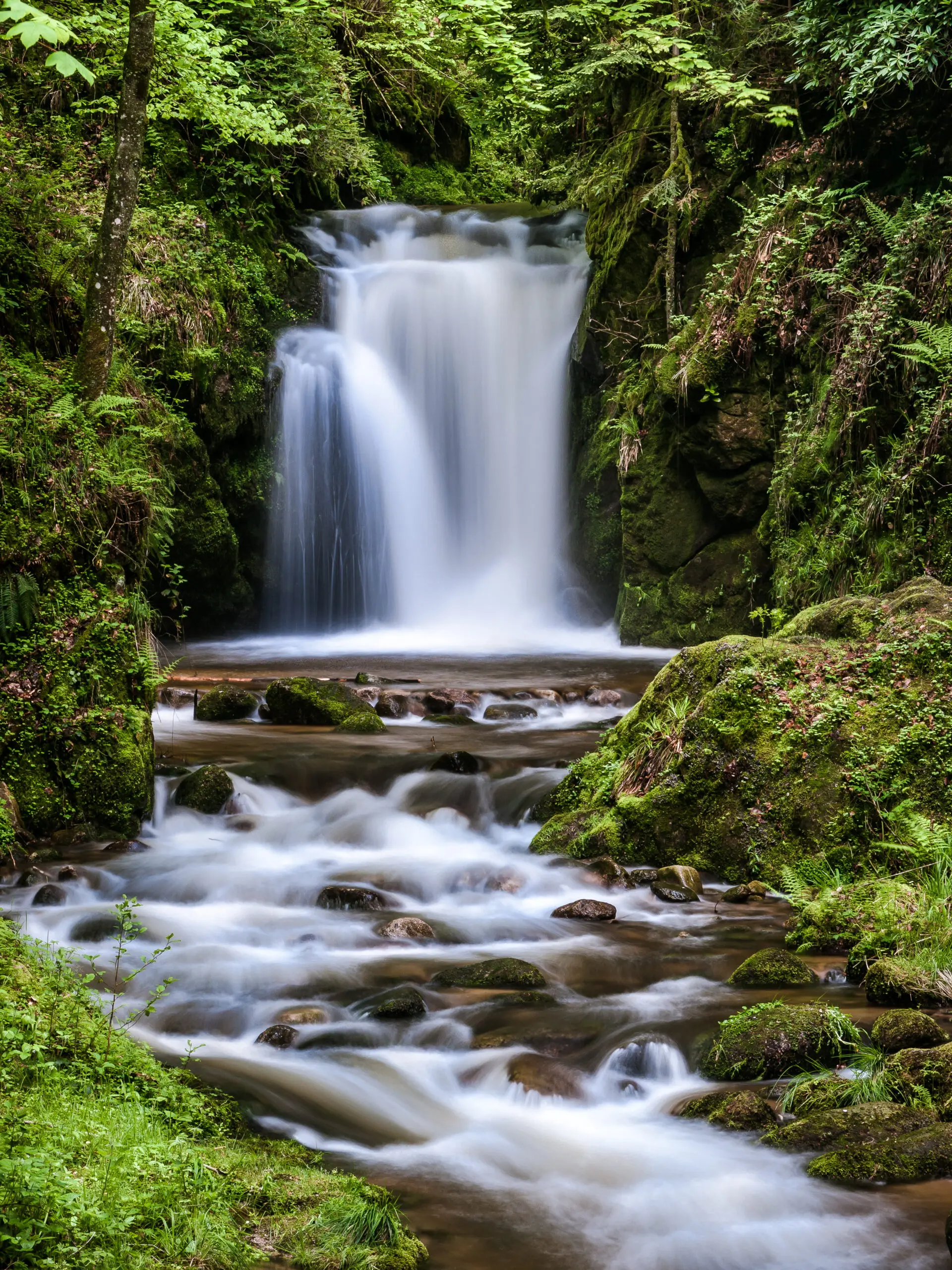 Geroldsauer Wasserfall im Frühling im Schwarzwald