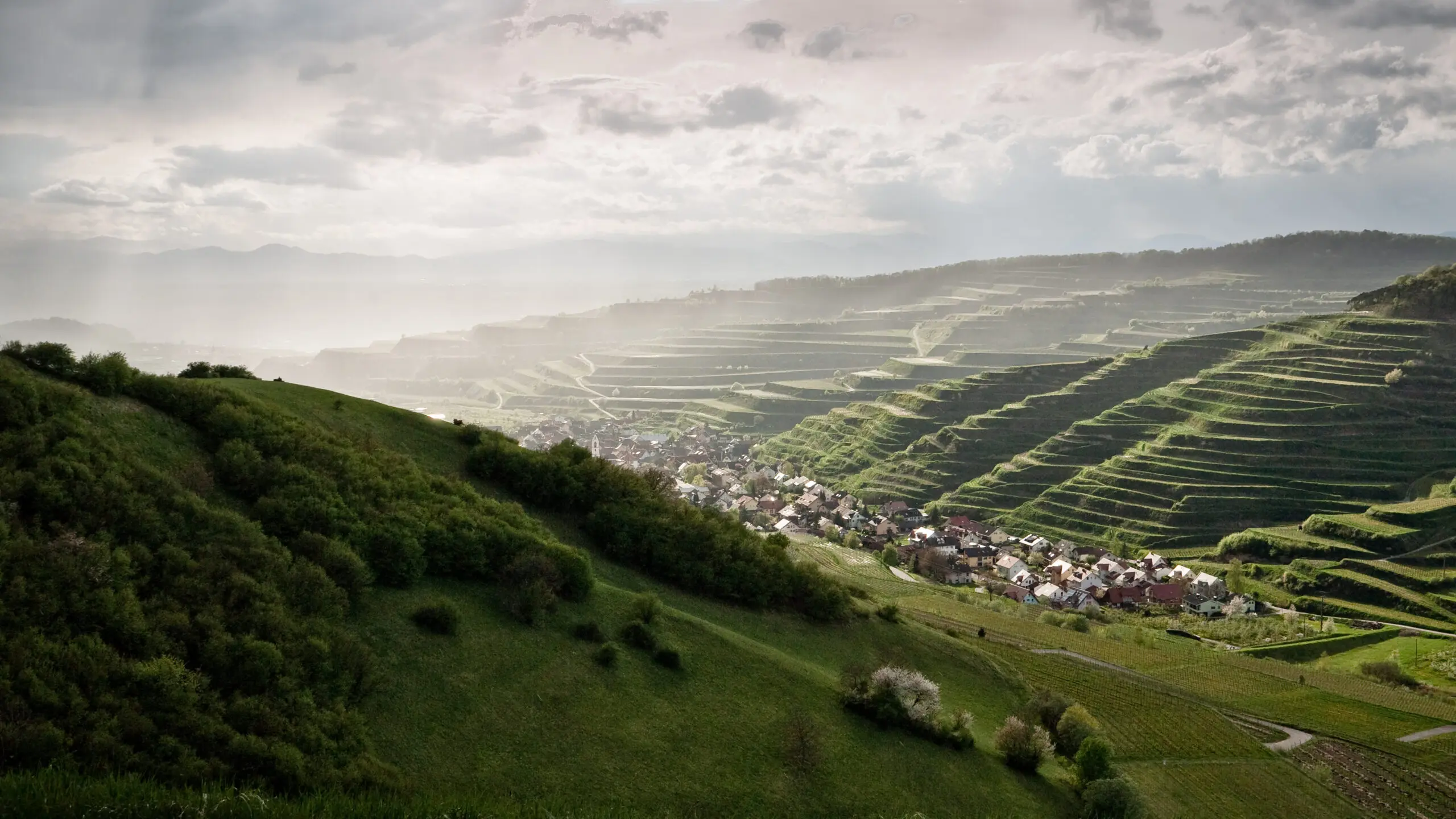 Kaiserstuhl zur Frühlingszeit