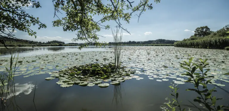 Maisinger See