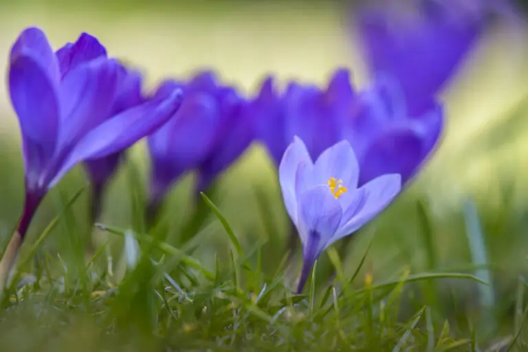 it´s Spring time