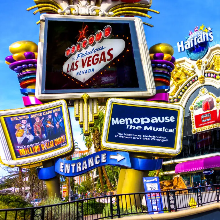 Viva Las vegas