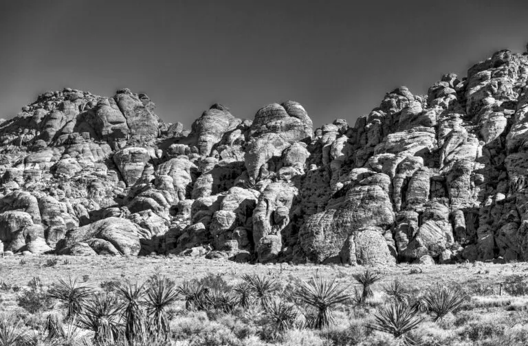 Black Rocks