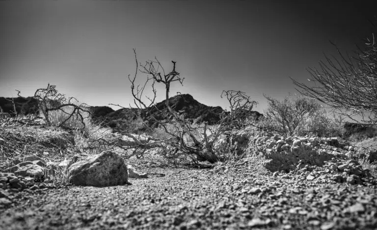 Deserted