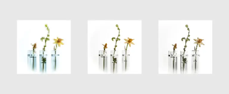 Flower Triple