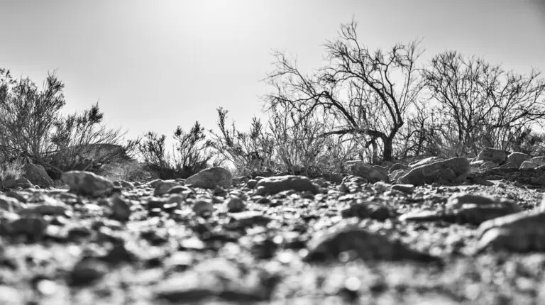 stony creek