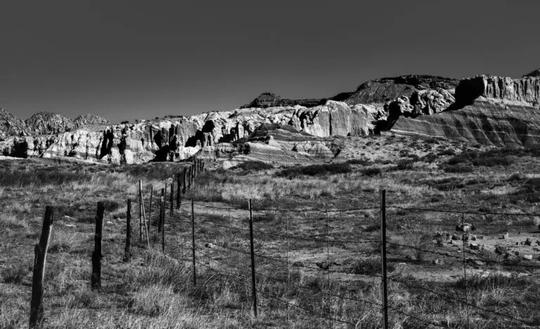Homeland