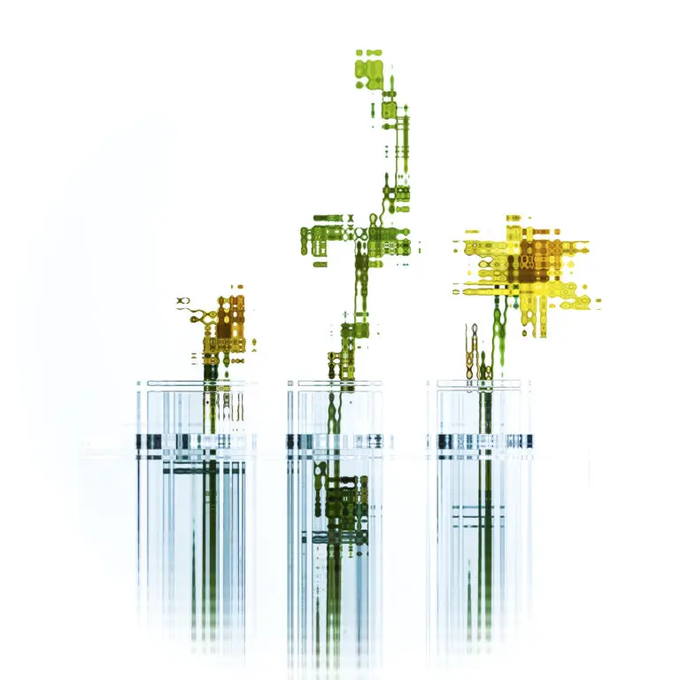 Flowers 4