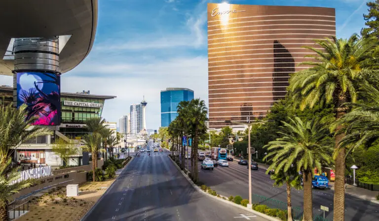 Vivid Vegas