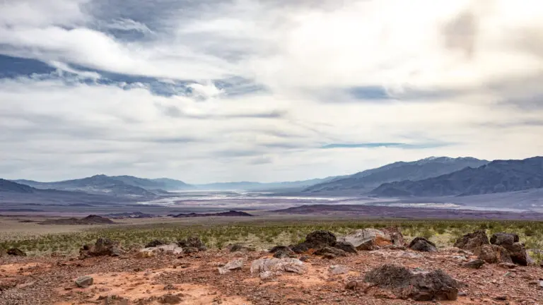 Endless Desert