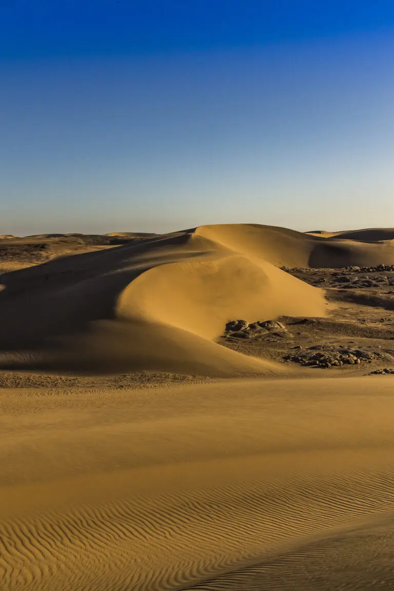 Sandwelt