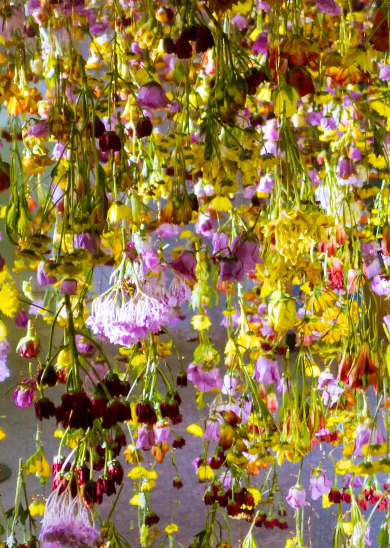 Hanging Flowers