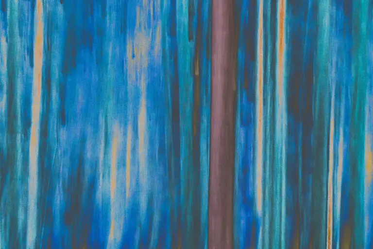 Forest 7