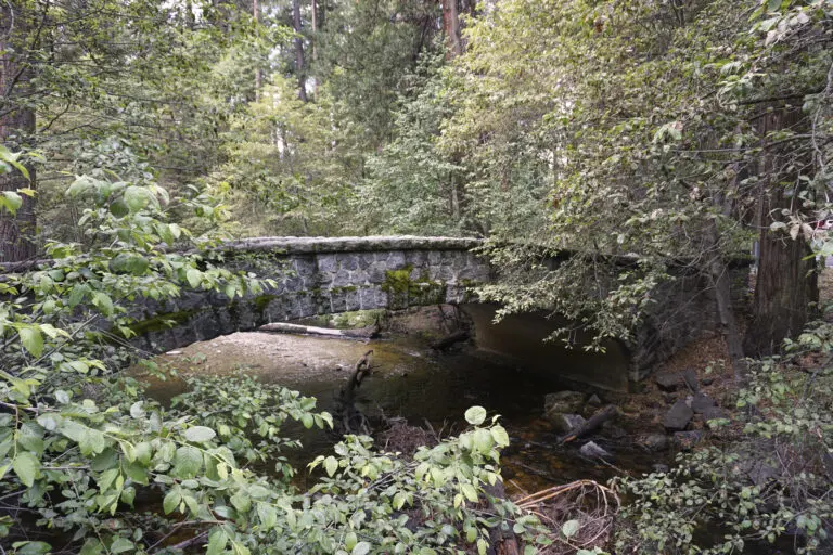  (4007) Die Steinbrücke im Wald präsentiert: Architektur, Brücke
