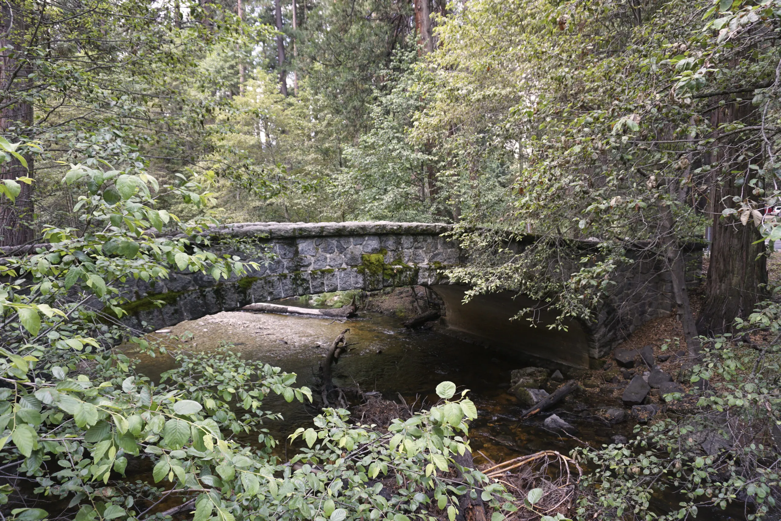 Wandbild (4007) Die Steinbrücke im Wald präsentiert: Architektur,Brücke