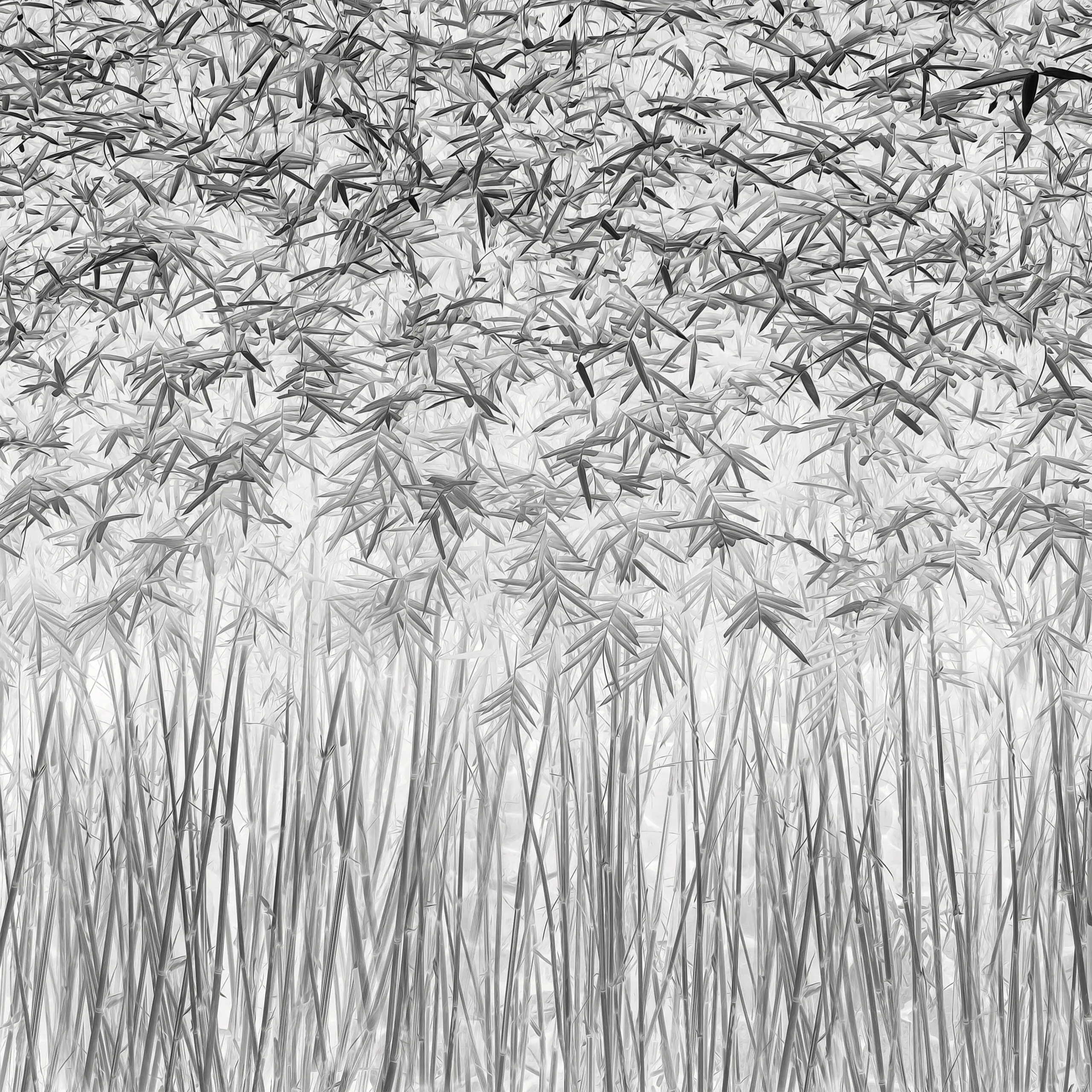 Wandbild (4023) Parallelism präsentiert: Abstrakt,Natur,Gr&auml;ser,Sonstige Pflanzen